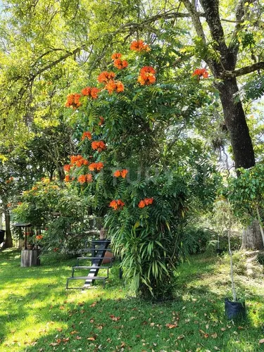 Rancho/quinta/casa En Venta, Ixtapan De La Sal, Estado De Mexico