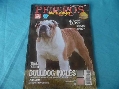 Revista Perros Pura Sangre 3 Bulldog Inglés