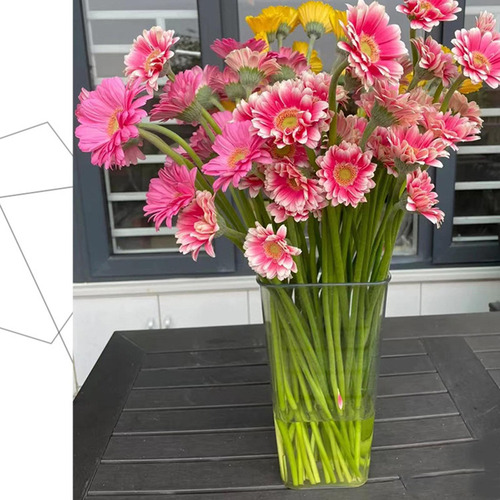 Florero De Acrílico Cubo De Flores De Acrílico Grande