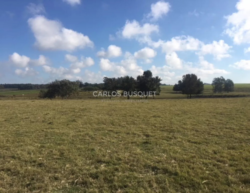 Chacra En Venta De 5 Hectáreas - Camino Medellin