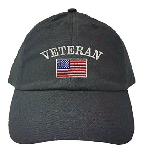 Go All Out Adult Usa Veteran Flag Embroidered Dad Hat