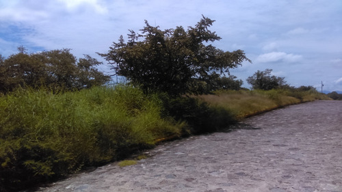 Imagen 9 de 14 de Terreno Campestre