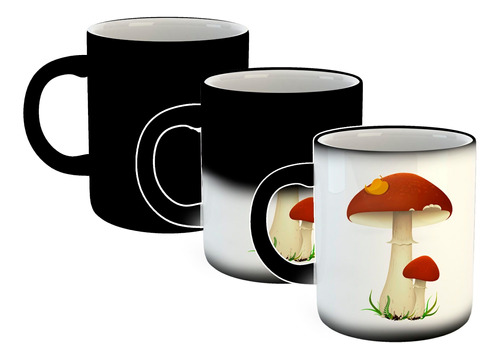 Taza Magica Background Mushrooms Hongo