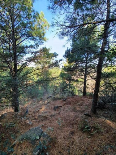 Imagen 3 de 6 de Lote En Venta, San Clemente, Santa Maria, Córdoba.