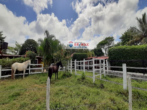 Se Vende Acogedora Posada Agroturistica En Sector Las Lapas Tucacas