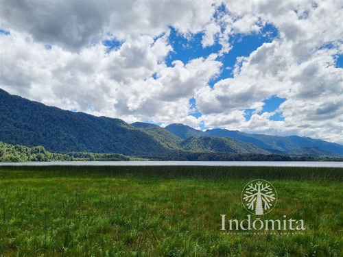 Fundo Con Orilla De Lago Cayetué En Ralun