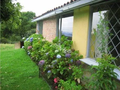 Finca en venta