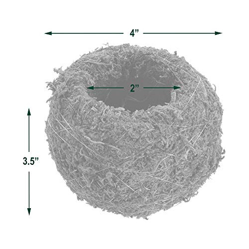 Kokedama Ko01, 4.0 X 3.5, Juego De 2, Verde