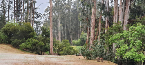 Casa En Venta En Algarrobo
