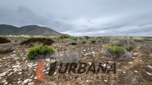 Sitio En Condominio Las Mostazas, Guanaqueros