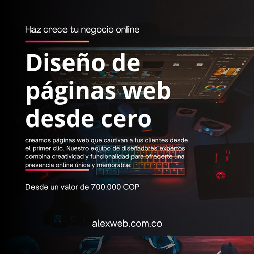 Diseño De Paginas Web Profesionales