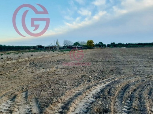 Imagen 5 de 5 de Greenwood Vende Excelente Finca, Con Derecho De Riego Y Agua De Pozo, Lista Para Cultivos.