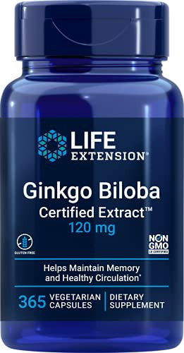 Extracto Certificado De Life Extension Ginkgo Biloba - Ayuda