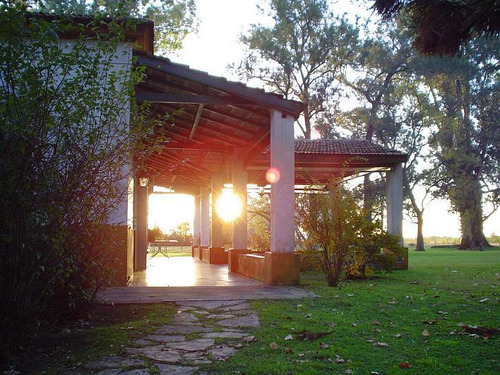 Campo Daromy