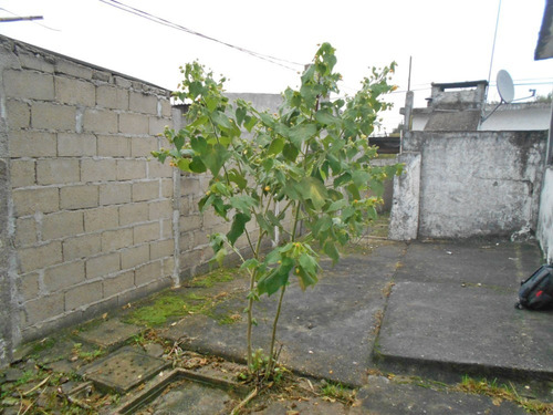 Imagen 4 de 14 de Se Alquila Casa (ph) En Canelones