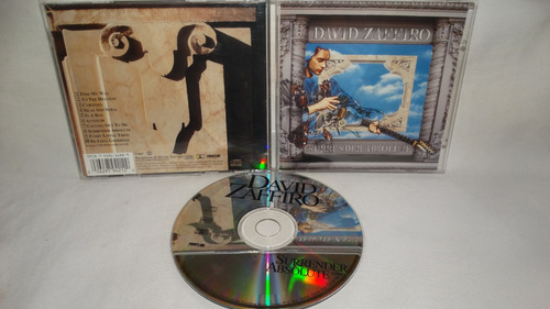 David Zaffiro - Surrender Absolute ( Bloodgood Heavy Cristia (Usado)