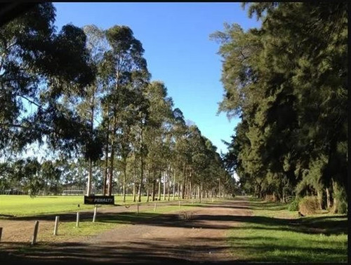 Imagen 2 de 2 de Oportunidad Lote En Esquina En Santo Tomas!!
