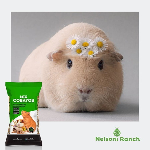Alimento Balanceado Mix Cobayos 750gr Vitamina Nelsoni Ranch