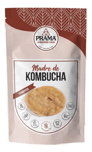 Madre De Kombucha Scooby Prama Sin Lacteos Sabor