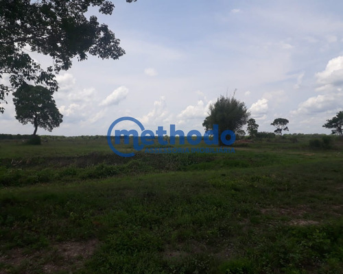 Fazenda - Fa00006 - 68495881