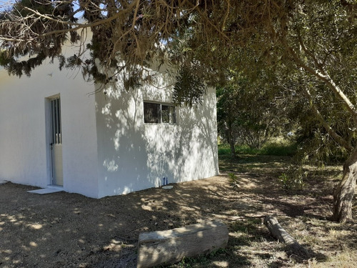 Imagen 4 de 14 de Alquilo Casa, A 4 Cuadras De La Playa, En Britopolis