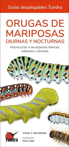 Libro Orugas De Mariposas - Guias Desplegables Tundra