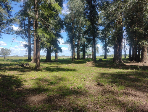 Campo En Venta Sobre Ruta 6, Marcos Paz