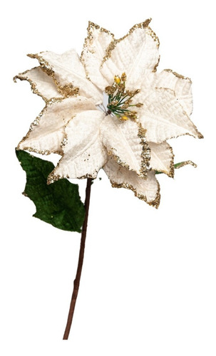 Flor Papagayo Blanca