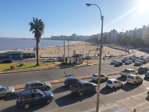 Imagen 2 de 30 de Rambla Republica Del Perú Esq Buxareo, 193 M2 , Gge X2 , Reciclado !!