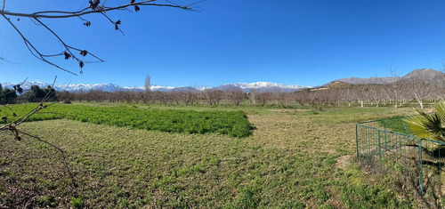 Venta Terreno Agricola, El Peumo , Calle Larga  , Los Andes