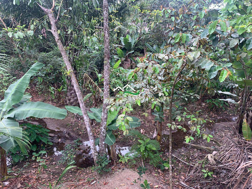 Imagem 28 de 28 de Chácara Com 3 Dorms, Area Rural, Pedro De Toledo - R$ 250 Mil, Cod: 546 - V546
