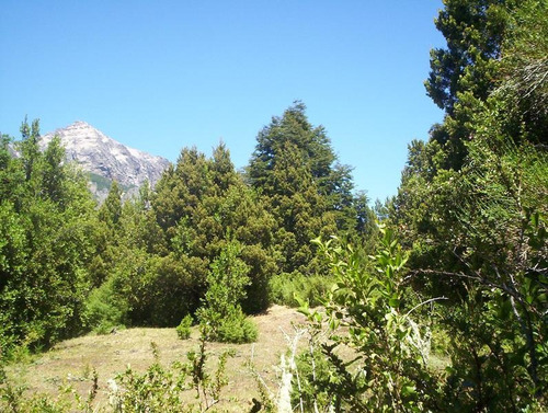 Fraccion De Terreno En Venta Sobre Circuito Chico, Vista Y Bosque - Bariloche