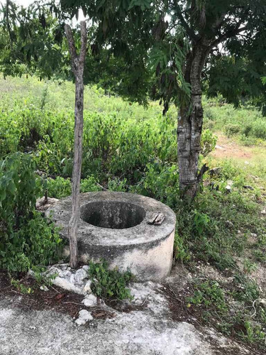 Imagen 4 de 10 de Venta De Terreno En Tetiz