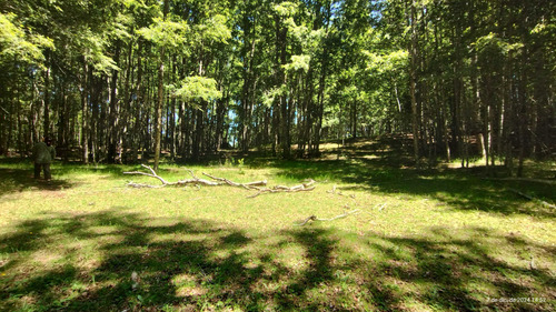 En Venta, Hermoso Campo Cercano A Lican Ray (94750)