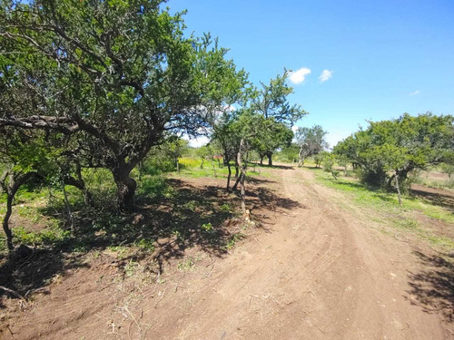 Imagen 13 de 14 de Preventa De Lotes De 1000m2 Y 1250m2 En San Luis