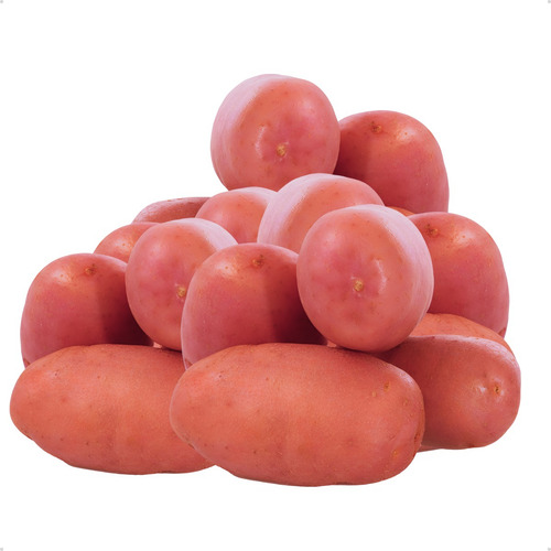 Só Batata Asterix Selecionada E Embalada Para Fritura 15kg