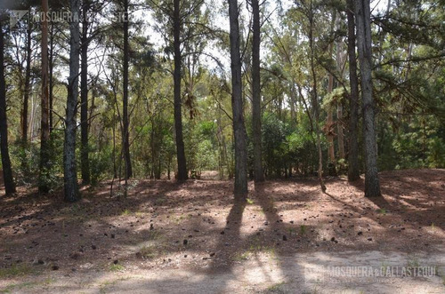 Mosquera Y Gallastegui - Venta -casa - Carmelo
