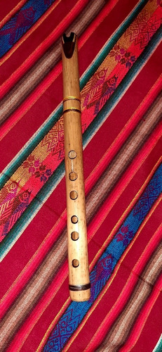 Instrumentos Andinos