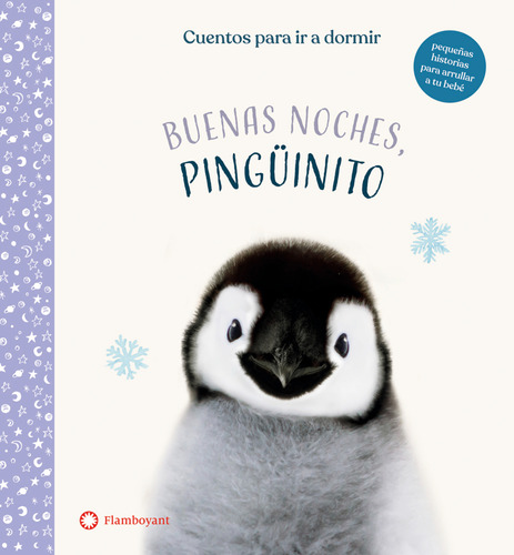 Buenas Noches, Pinguinito - Flamboyant