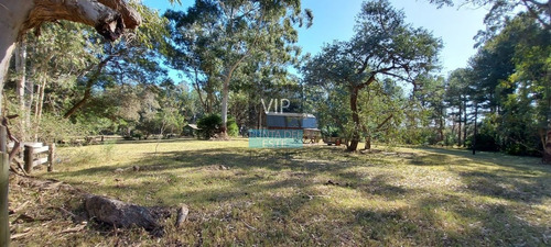 Imagen 2 de 13 de Venta Fracción Tierra Potencial Fraccionamiento - Punta Ballena Camino Lussich