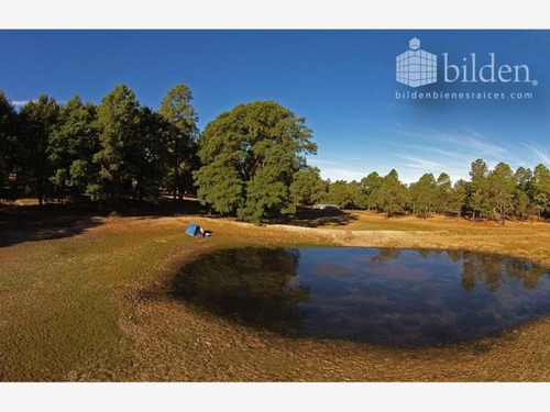 Imagen 6 de 12 de Terreno En Venta Bosques De Llano Grande