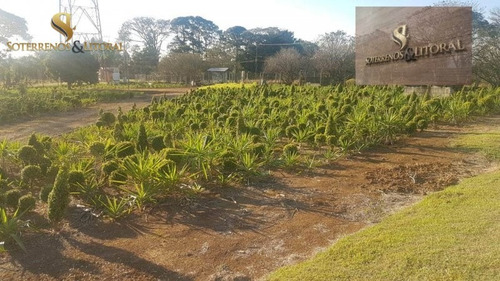 Imagem 5 de 15 de Chácara ¿ Suzano -sp - Chácara A Venda No Bairro Suzano - Suzano, Sp - 247
