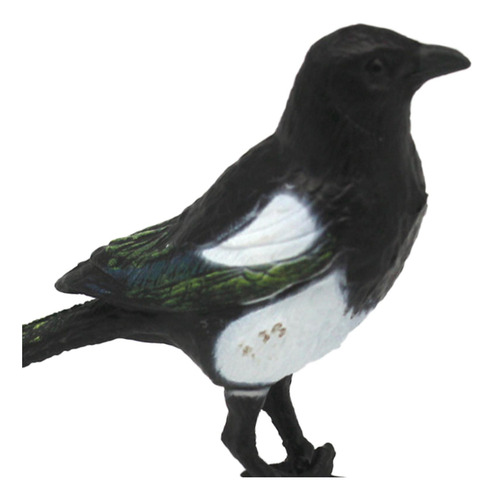 4 Pássaro De Simulação De Pega, Modelo De Pássaro