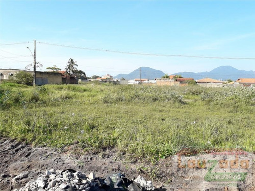 Terreno Para Venda Em Peruíbe, Parque Turistico - 1334_2-621549