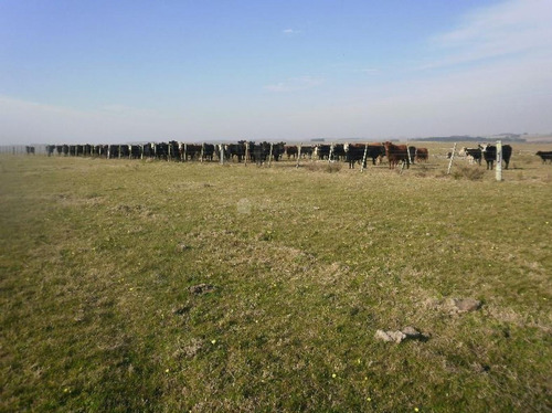 Muy Buen Campo En Florida