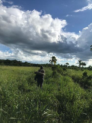 Te Vendo Excelente Finca En El Pulgarin De Bayaguana