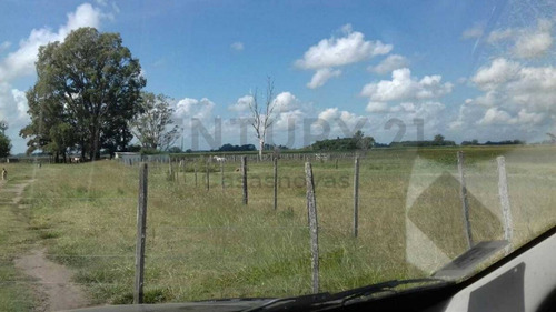 Imagen 4 de 15 de Venta Campo Mixto En Pergamino 27 Hectareas