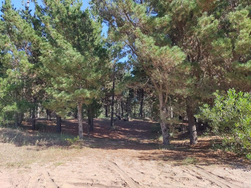 Imagen 4 de 5 de Lote En Venta - Residencial 2 - Costa Esmeralda