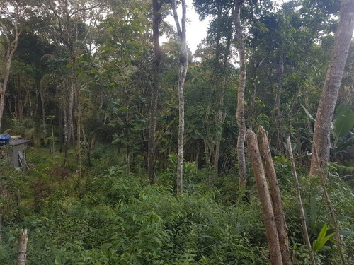 Imagem 2 de 4 de Terreno Na Aldeinha!! - Te00017 - 33500325