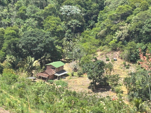 Sítio Uma Floresta